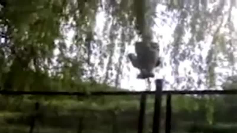 Гусейн гасанов гусейн гасанов