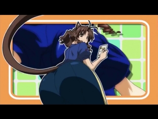 Amv we are nyan