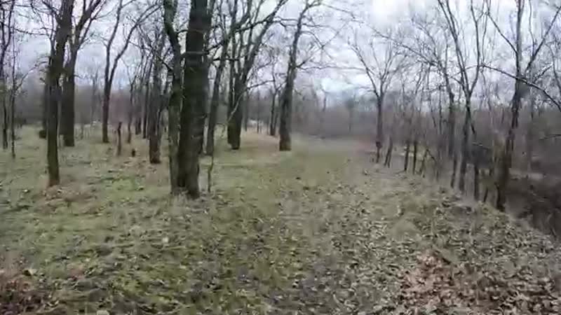 Молочный лиман, алтагирь, заброшенный молодые лагерь "чайка"