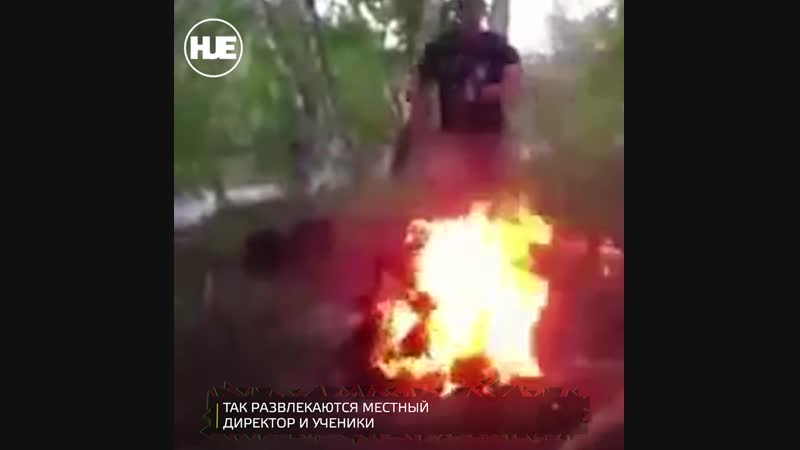 Директор и учителя школы под новосибом вызывают вопросы родителей странным поведением