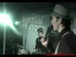 Babyshambles rhythm factory killamangiro and piracy videos, filmed 19/01/06