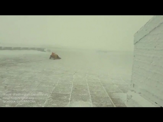 Метеоролог борется с ветром за устаноу флага vhs video vhs video55