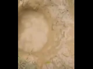 Ловит рыбу с помощью змеи