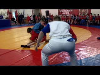 Live самбо «витязь череповец»