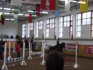 Панасюк оля и фокс