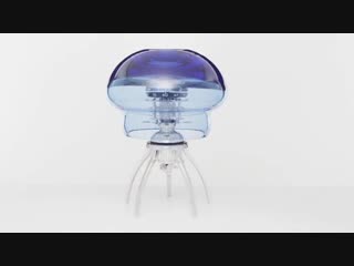 Medusa clock, sihh 2019