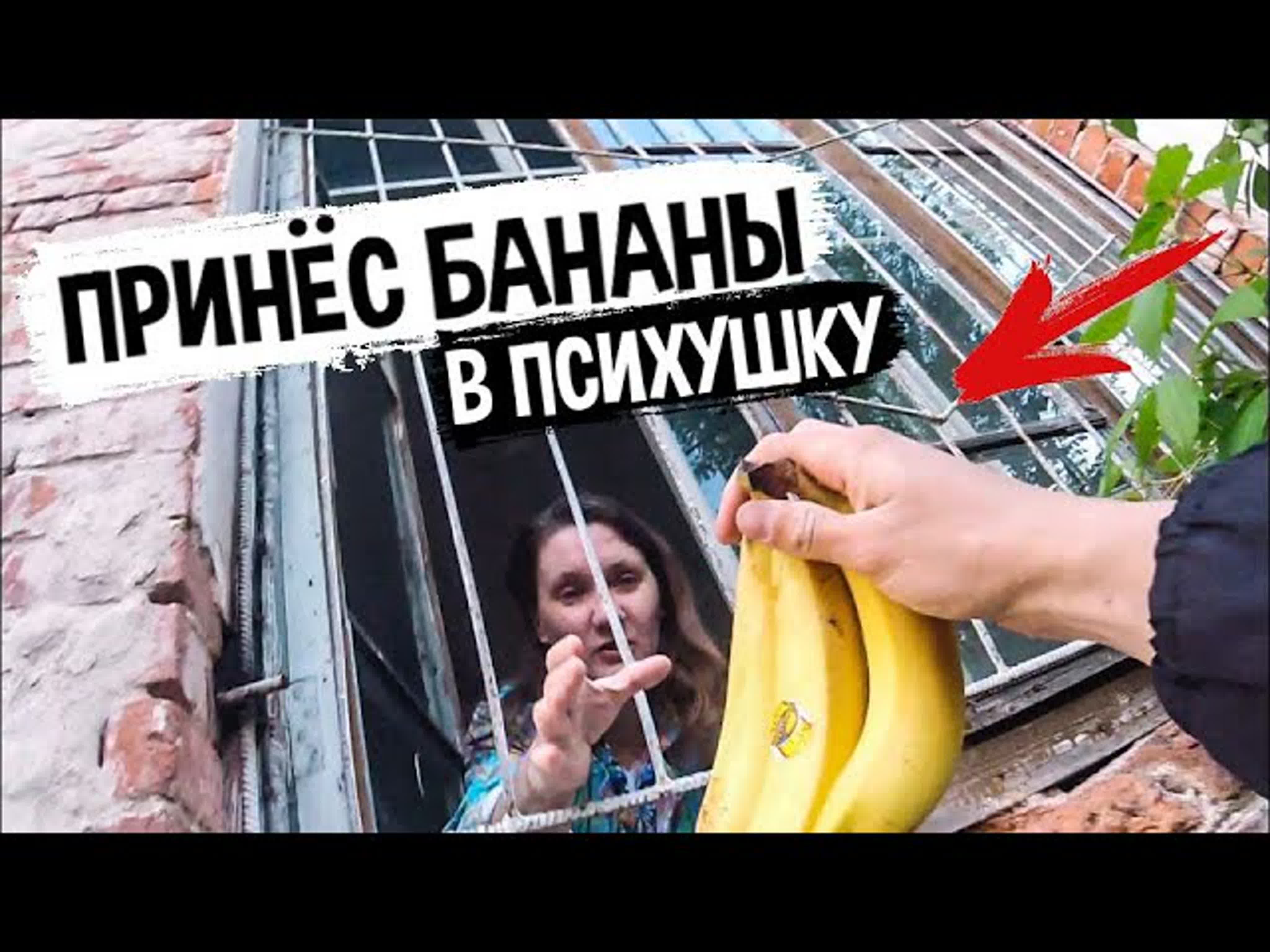 Принёс бананы в психушку и продукты накормил пациентов - ExPornToons