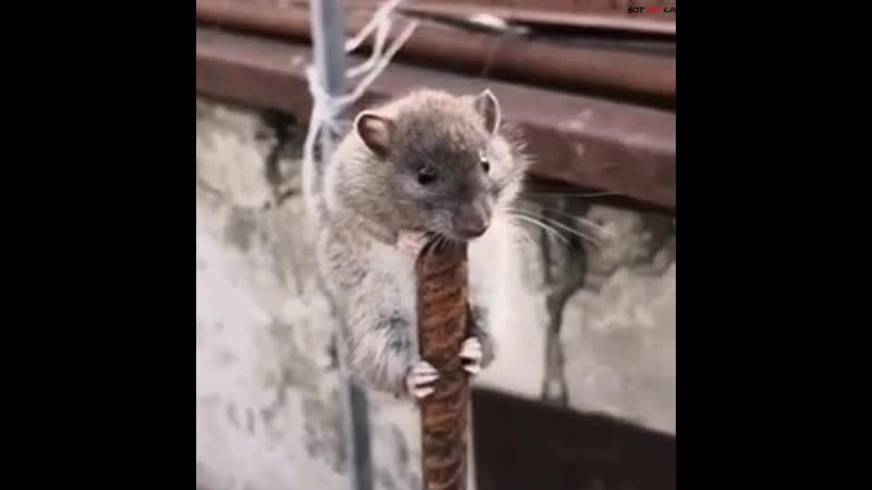 Хочешь жить, умей по арматуре лазить