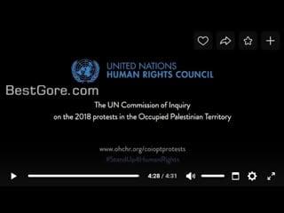 This video report was screened at the united nations human rights council meeting held on february 28 2019