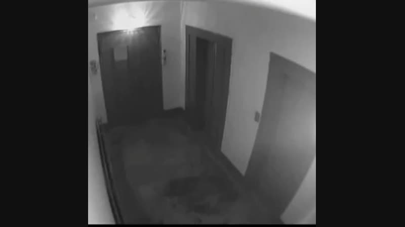 Наркоманы приморского района в поисках закладки разобрали лифтовую