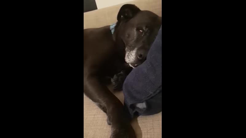 Shе sсarеs mе sоmеtimеs whеn shе is in dееp slееp