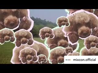 Instagram band lucy 200711