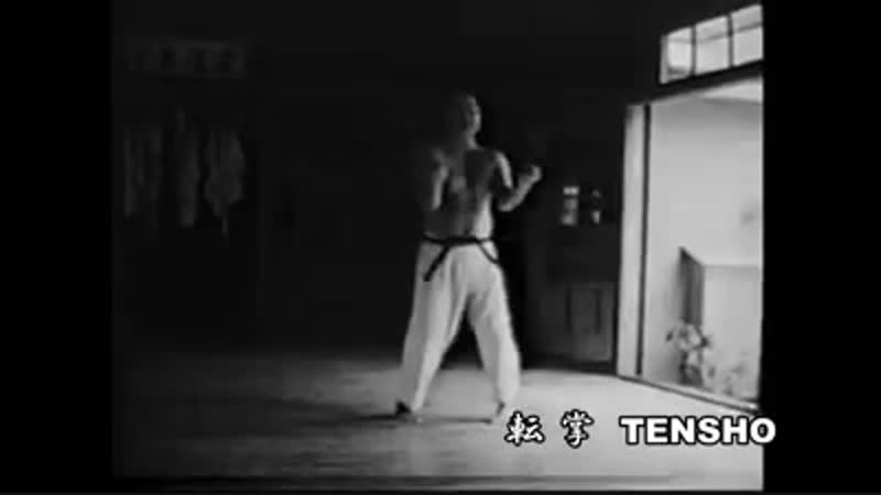 Tensho porn video – Ko uehara sensei kata tensho