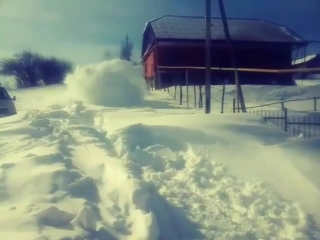 Нива под снегом