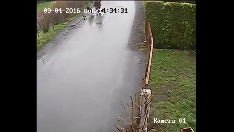 Котан встрял за братана