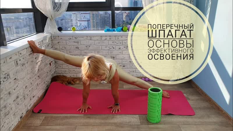 Sls поперечный шпагат основы эффективного освоения