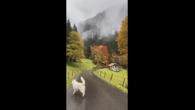 Сказочное умиротворение