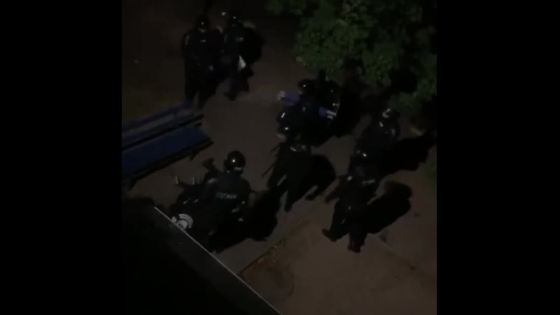 Толпа силовиков избивает парня с девушкой, отпускает издевательские комментарии и после уводит их в автозак