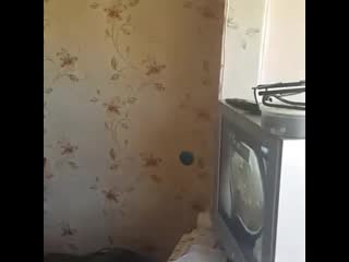 Ох эта политика