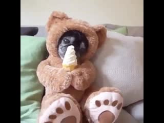 Кушает рожок