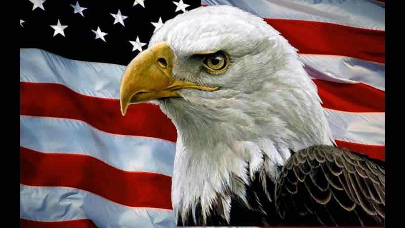 Саня во флориде пакет помощи экономике сша издевательство! #usa #сша #санявофлориде #саня во флориде
