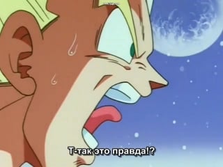 Dragon ball z vegeta yells at goku because of bulma (japanese)