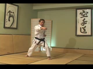 Hirokazu kanazawa mastering karate part 6 niju hachi ho