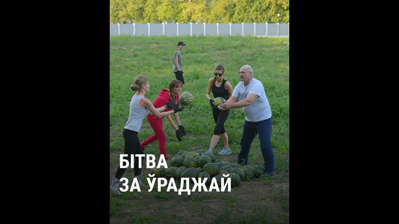 З кім зьбірае ўраджай аляксандар лукашэнка?