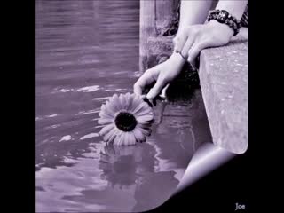 Peixe vivo milton nascimento f2mrwp2wdhw