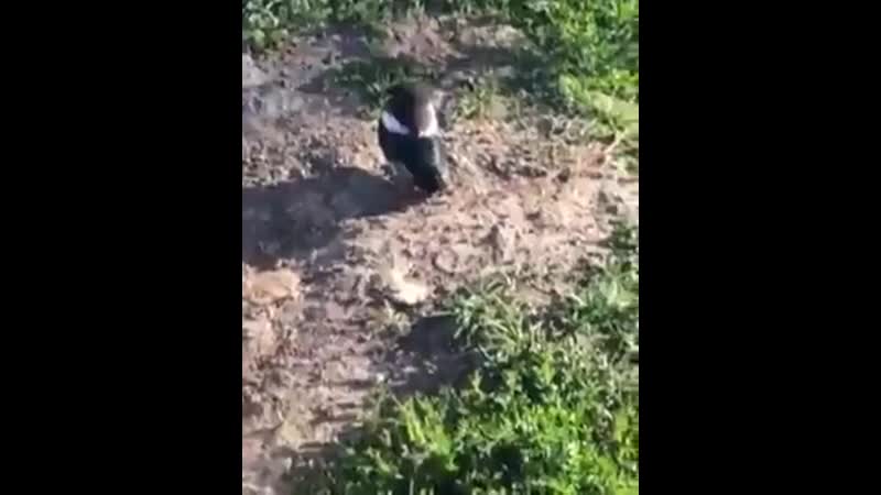 Нелоо porn video – Упс, нелоо получилось