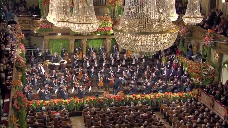 Настоящий дирижер может управлять даже зрителями (vhs video)