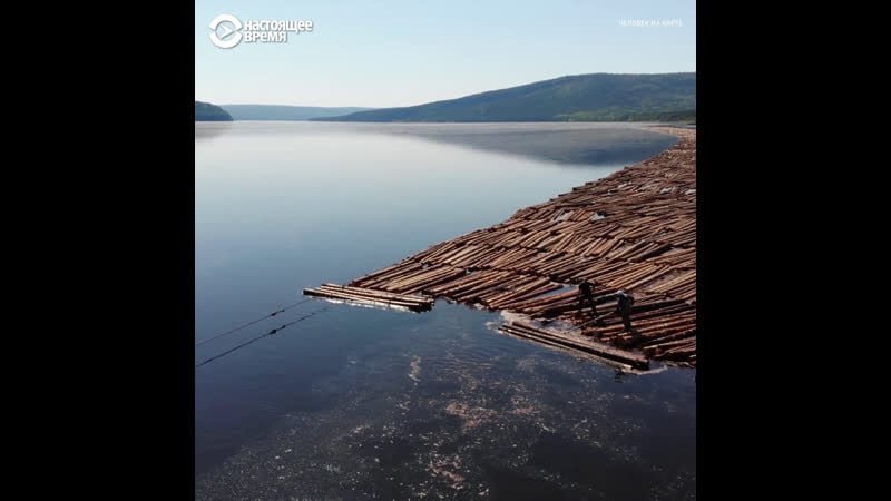 "человек на карте" как валят лес на ангаре