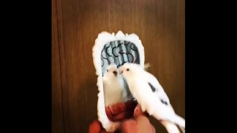 Лучший ударник