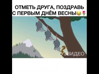 Видео от дилетанты