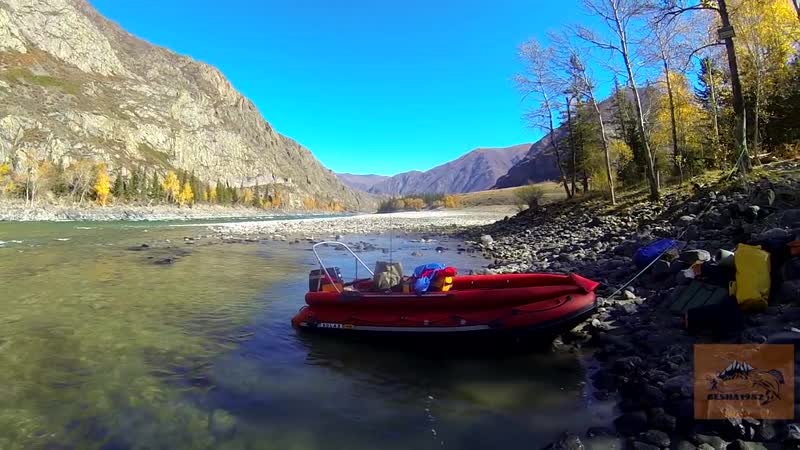 Алтай рыбалка осенью #1 забрались в глушь, а тут опять местные лодка выдра, фр