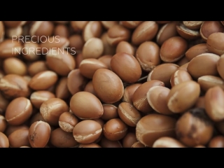 Oil ultime discover true beauty mp4