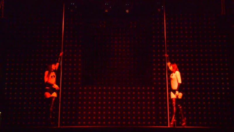 "эластика и фиалка", некрасова людмила, шедько юлия отчетный концерт "альфа multiland" 2019г