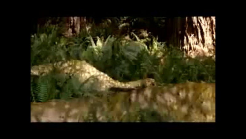 Прогулки с динозаврами "эпоха титанов"