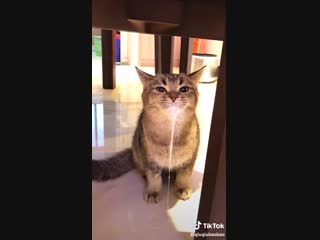 Whats wrong with that pisi