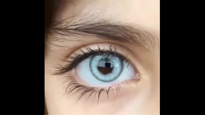 Цветные линзы "bella pro gray (crystal)" l твой взгляд