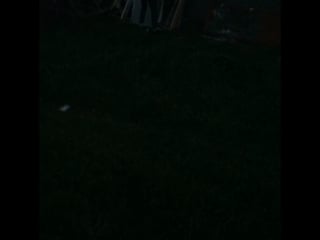 Big dicks чёрный уголь