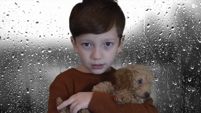 Мама не любит папу папа не любит маму ярослав матвеев стихотворение до слёз