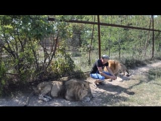 Олежка нашел друзей !