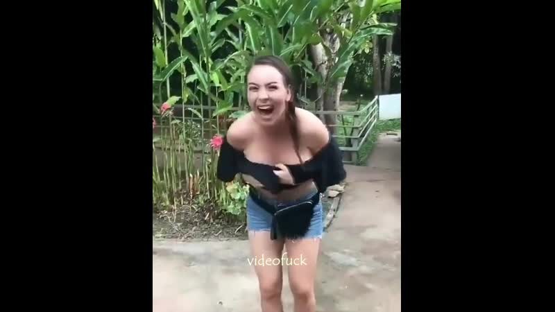 Шаловливая мартышка