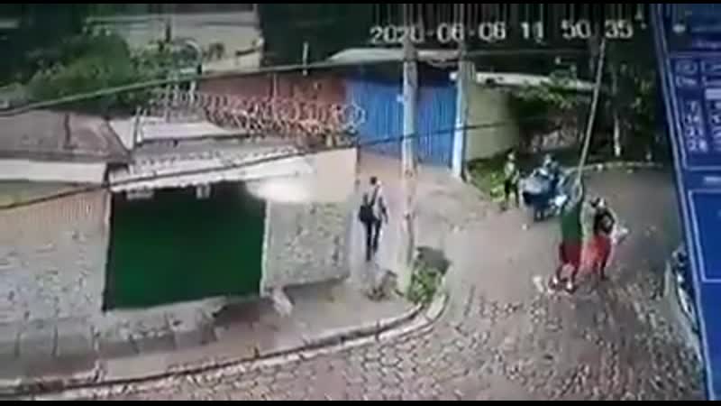 Сбор урожая манго