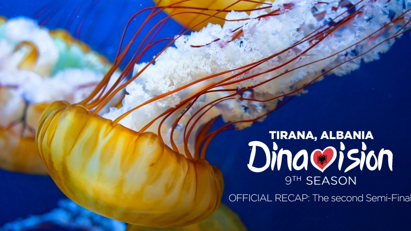 Dinavision | 9 season | second semifinal