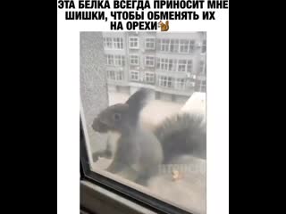 Video vek 20200211 1 mp4