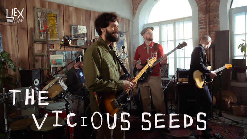 The vicious seeds цех live