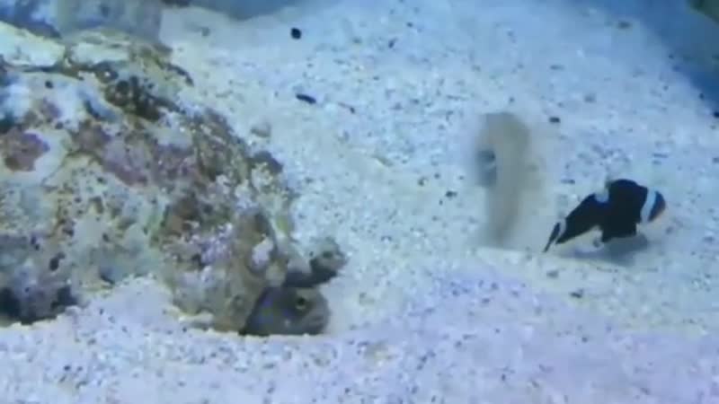 Прекрати хватит остановись!