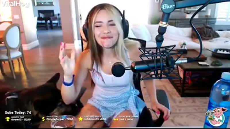 Just dоggо dоing his thing